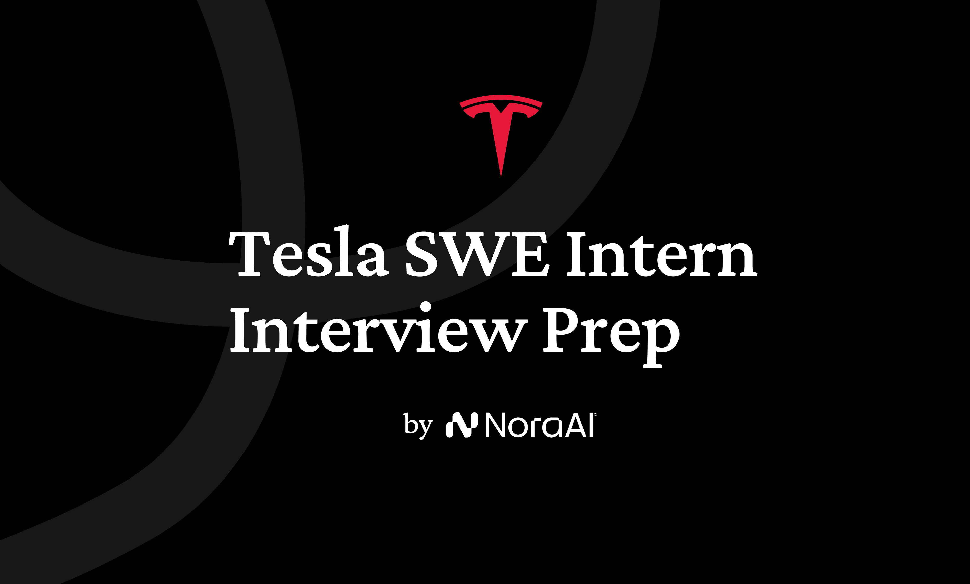 Tesla SWE Intern logo 