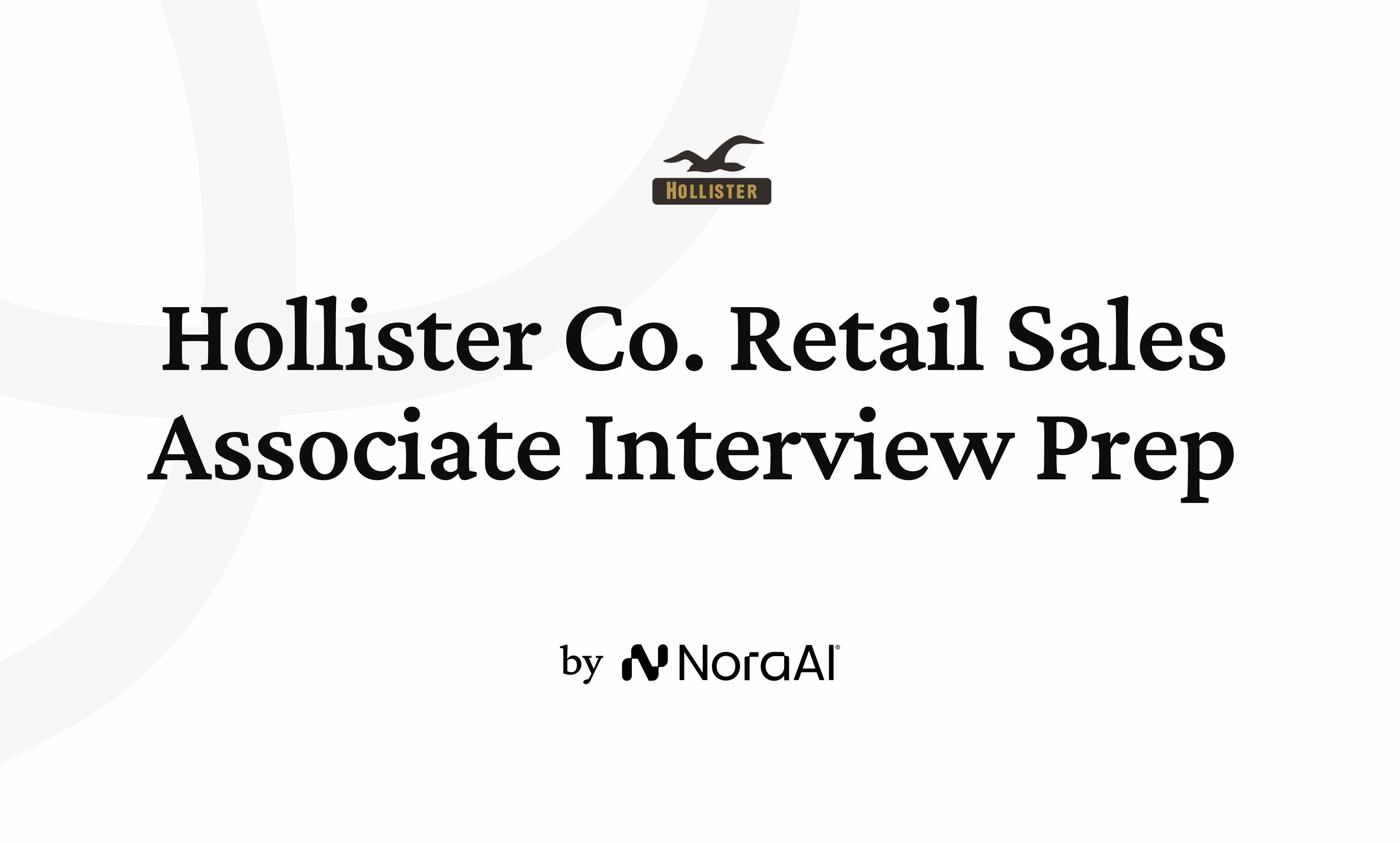 Hollister Co. Retail Sales Associate Interview logo