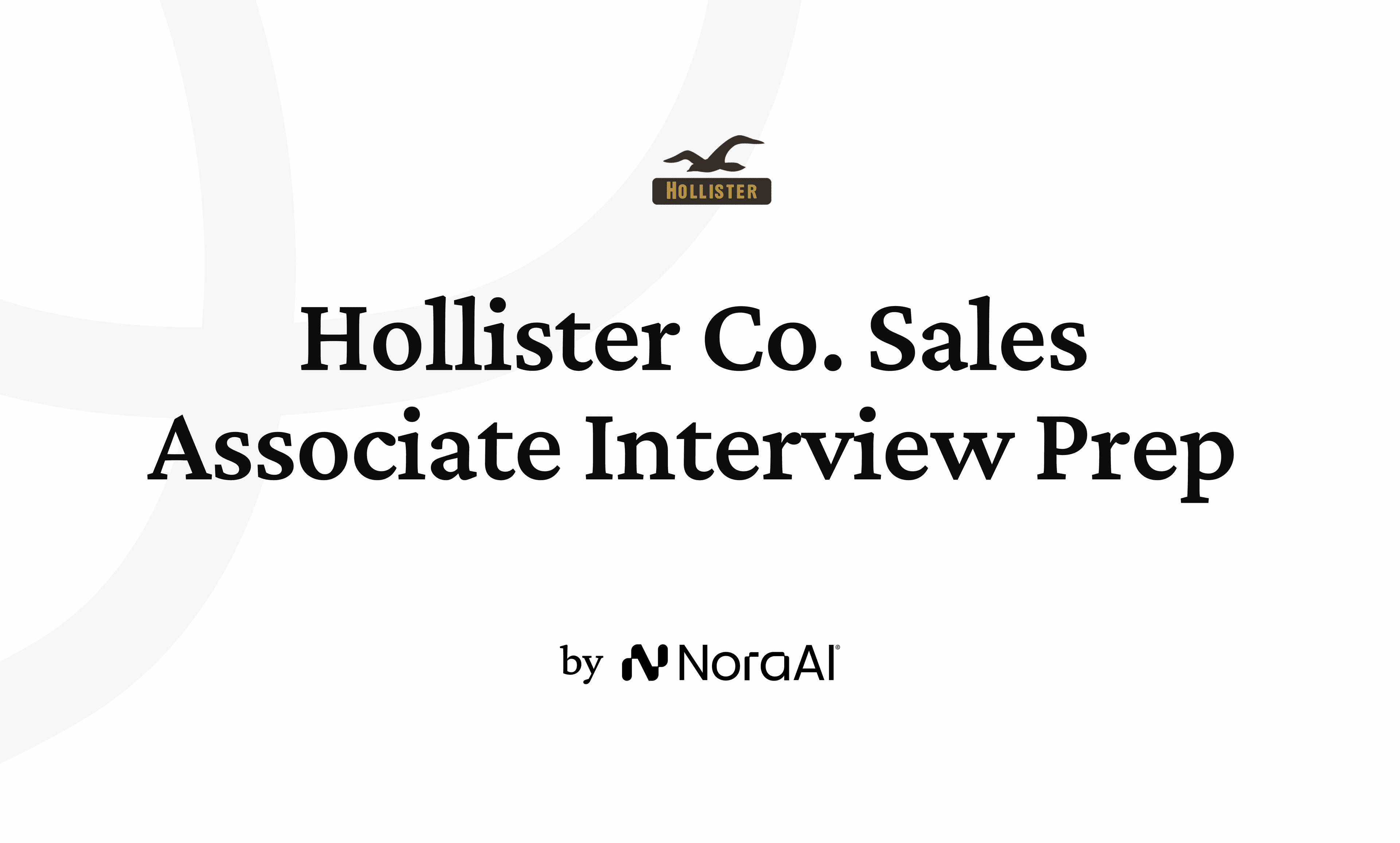 Hollister Co. Sales Associate Interview logo