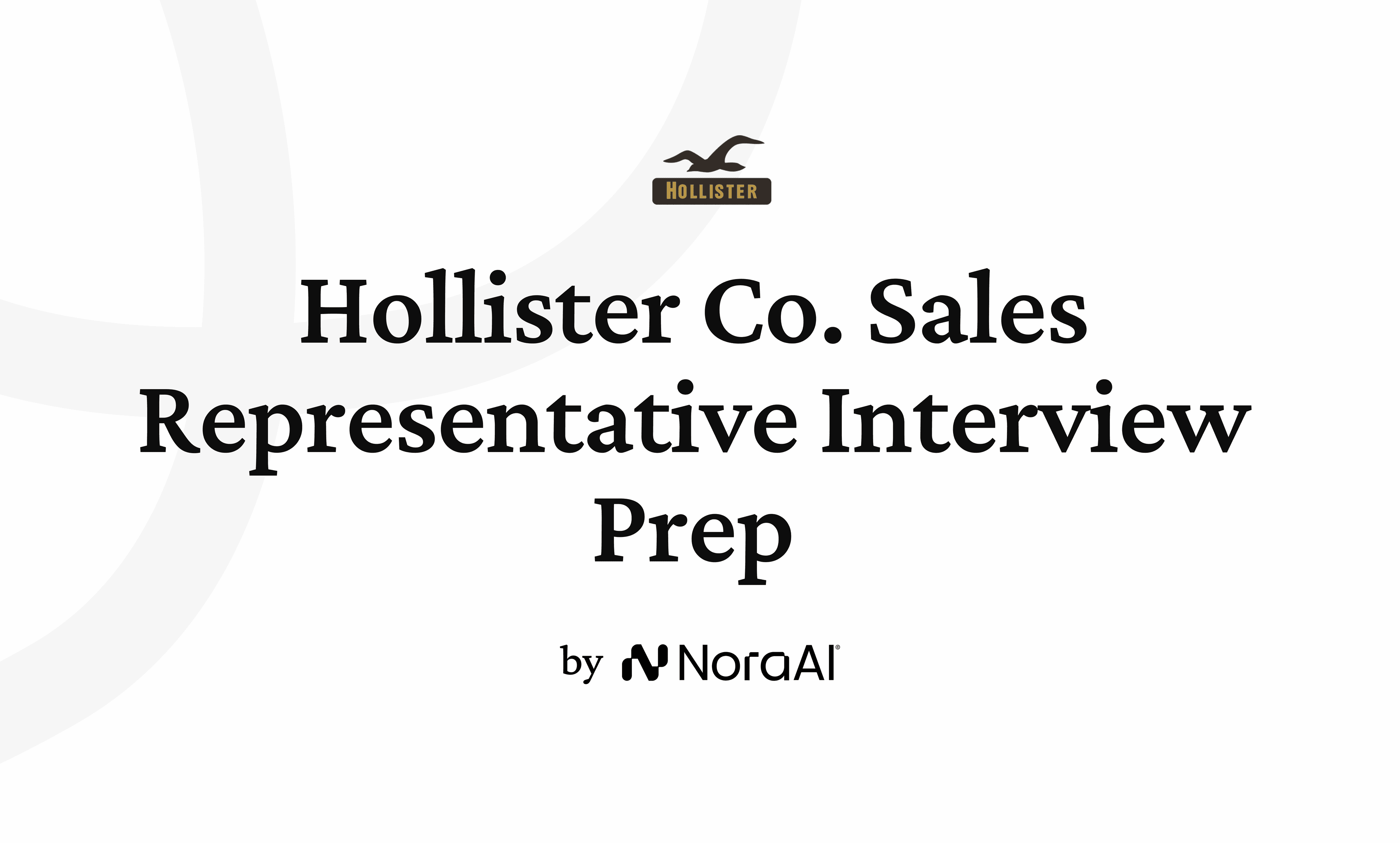 Hollister Co. Sales Representative Interview logo