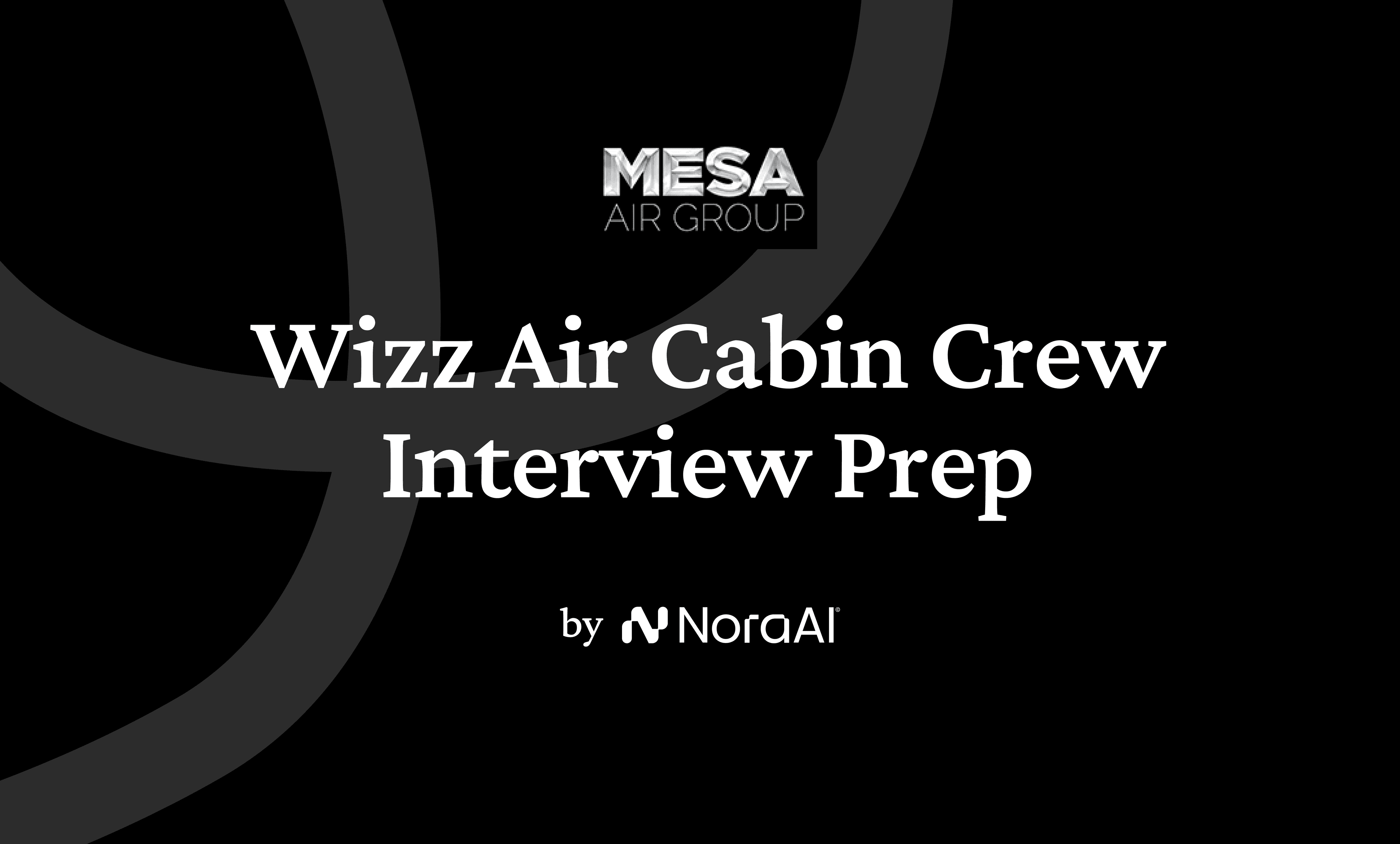 Mesa Air Flight Attendant Interview logo