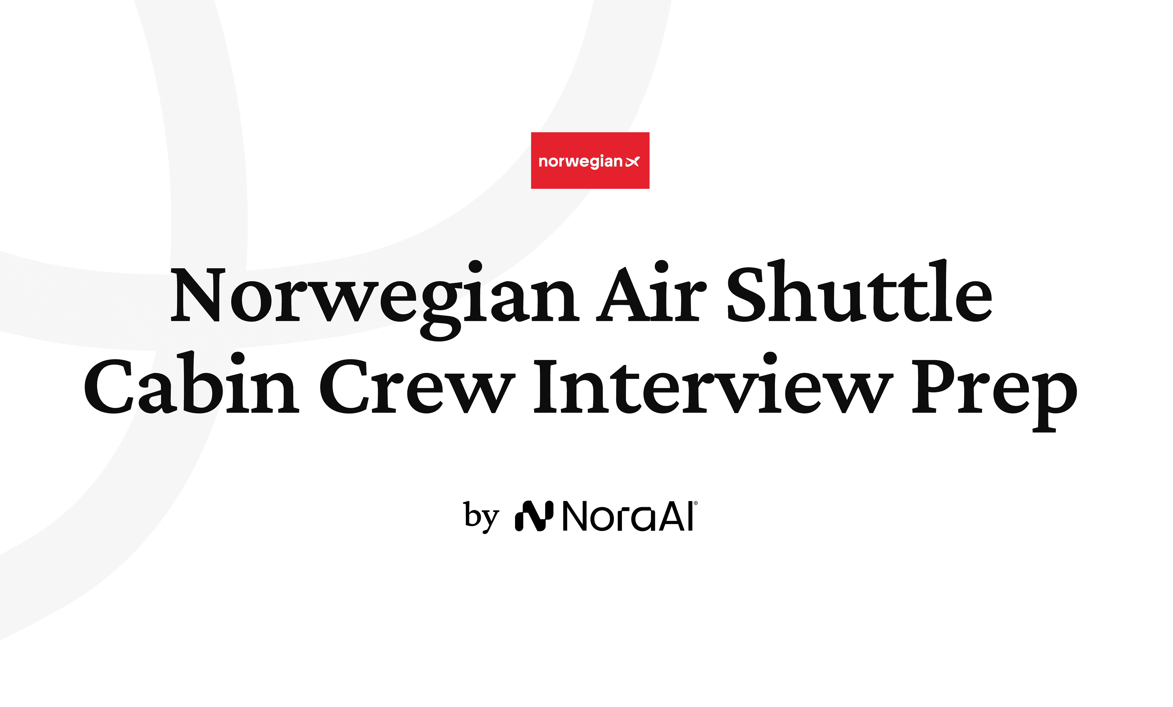 Norwegian Air Shuttle Cabin Crew Interview logo