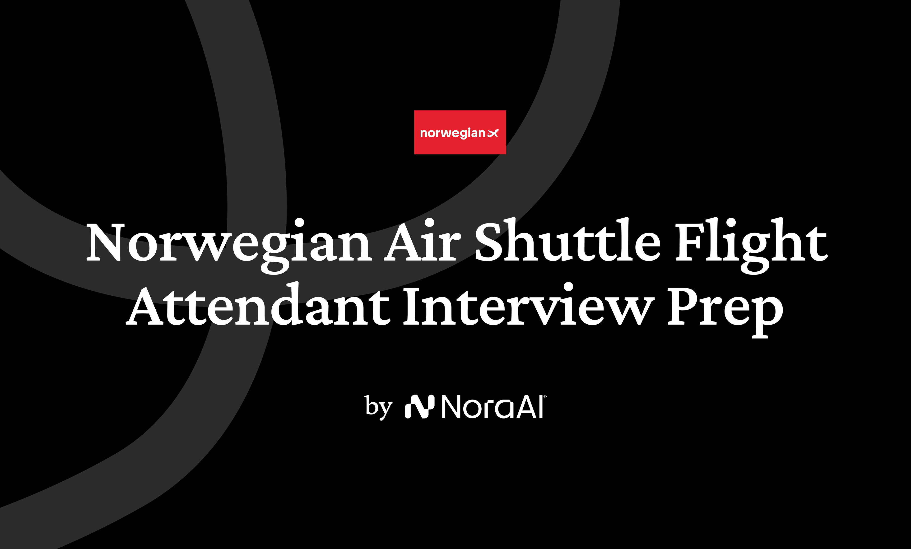 Norwegian Air Shuttle Flight Attendant Interview logo