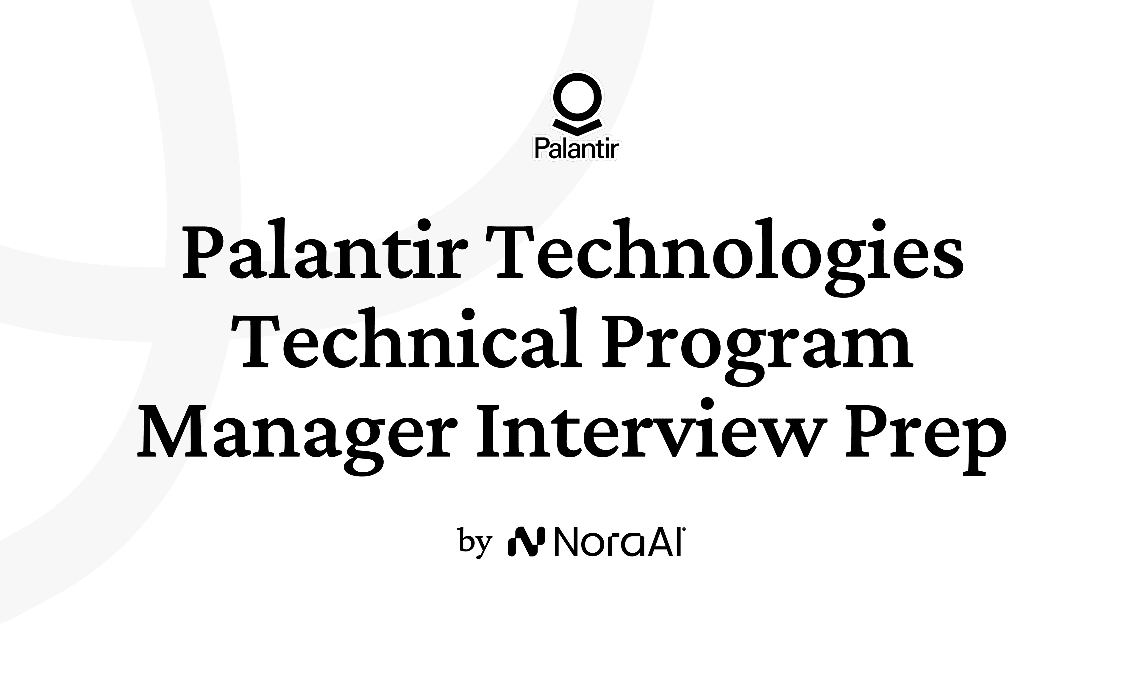 Palantir Technologies Technical Program Manager Interview Logo