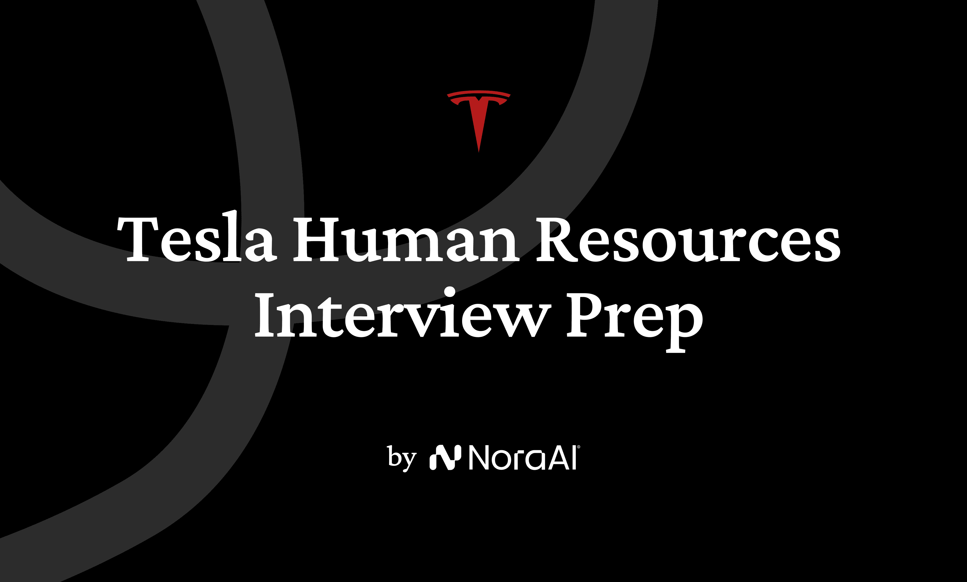 Tesla Human Resources Interview Logo