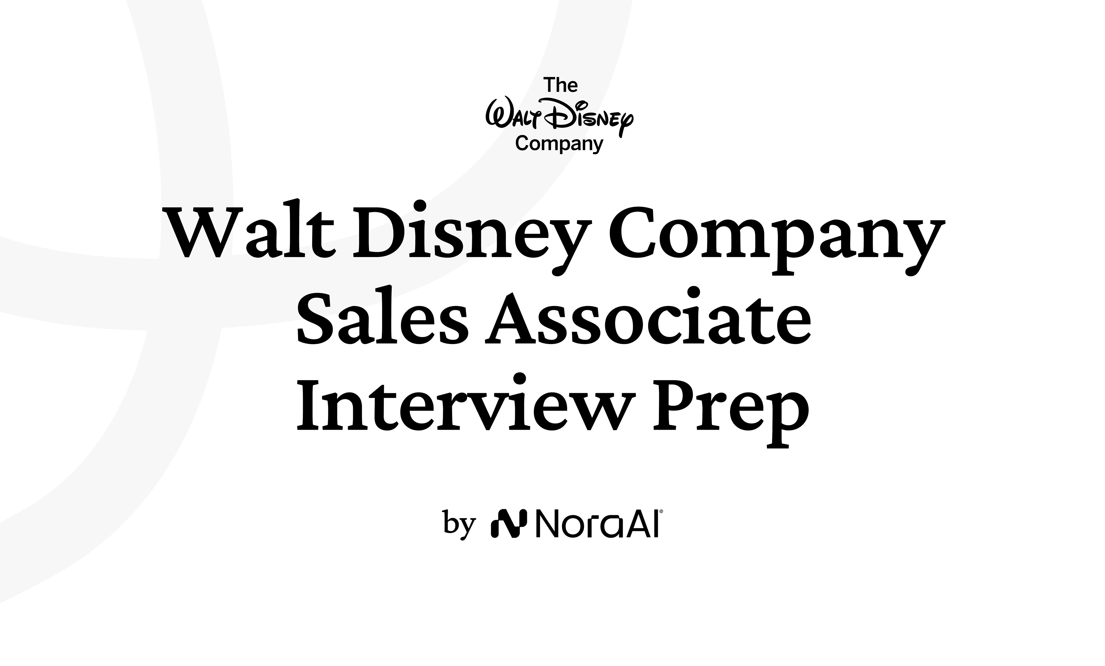 Walt Disney Company Sales Associate Interview Logo